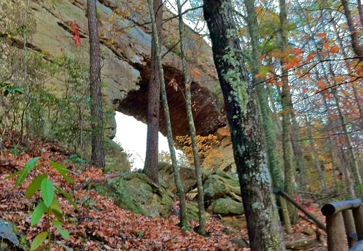 Natural Bridge State Park